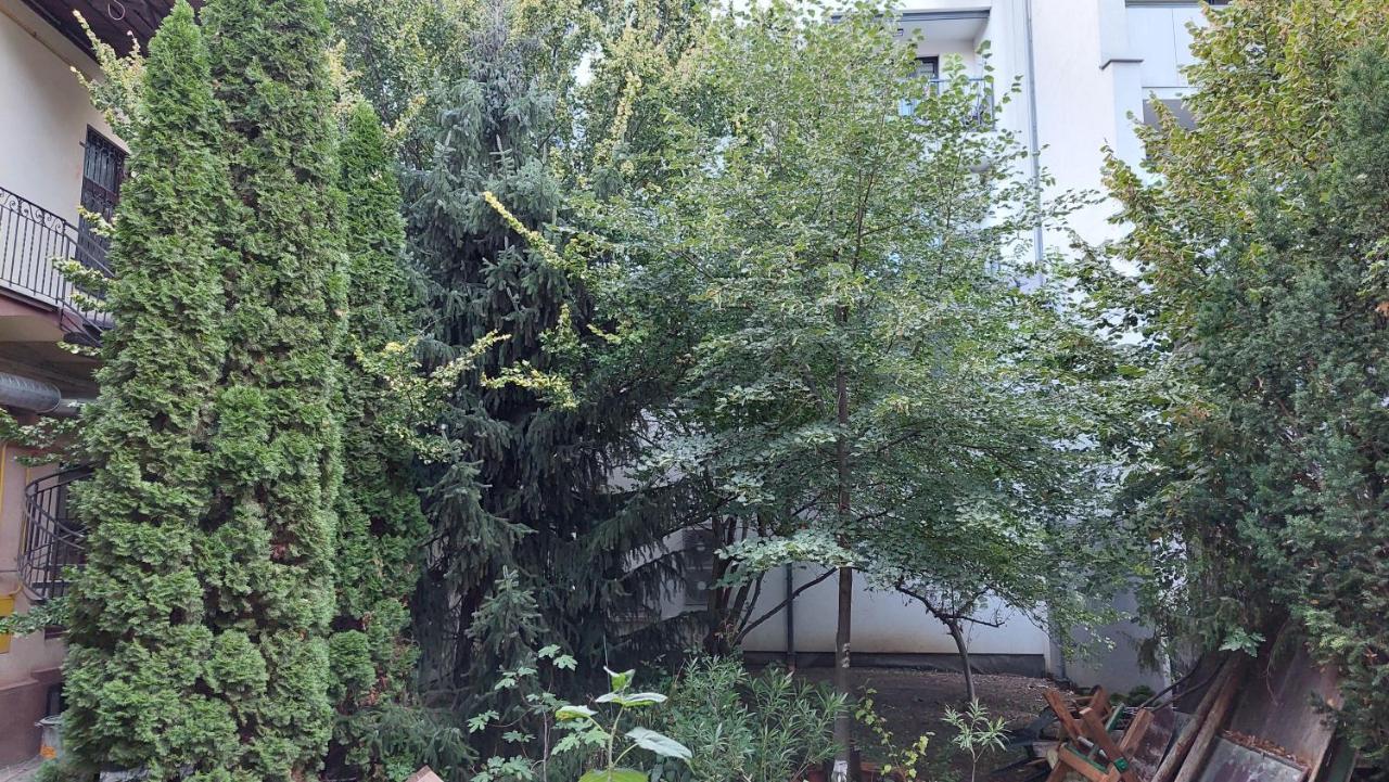 Apartment Corona كَشّا المظهر الخارجي الصورة